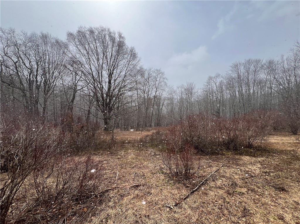 Upper Punchbowl Road Roscoe, NY 12776 - Photo 12 of 41