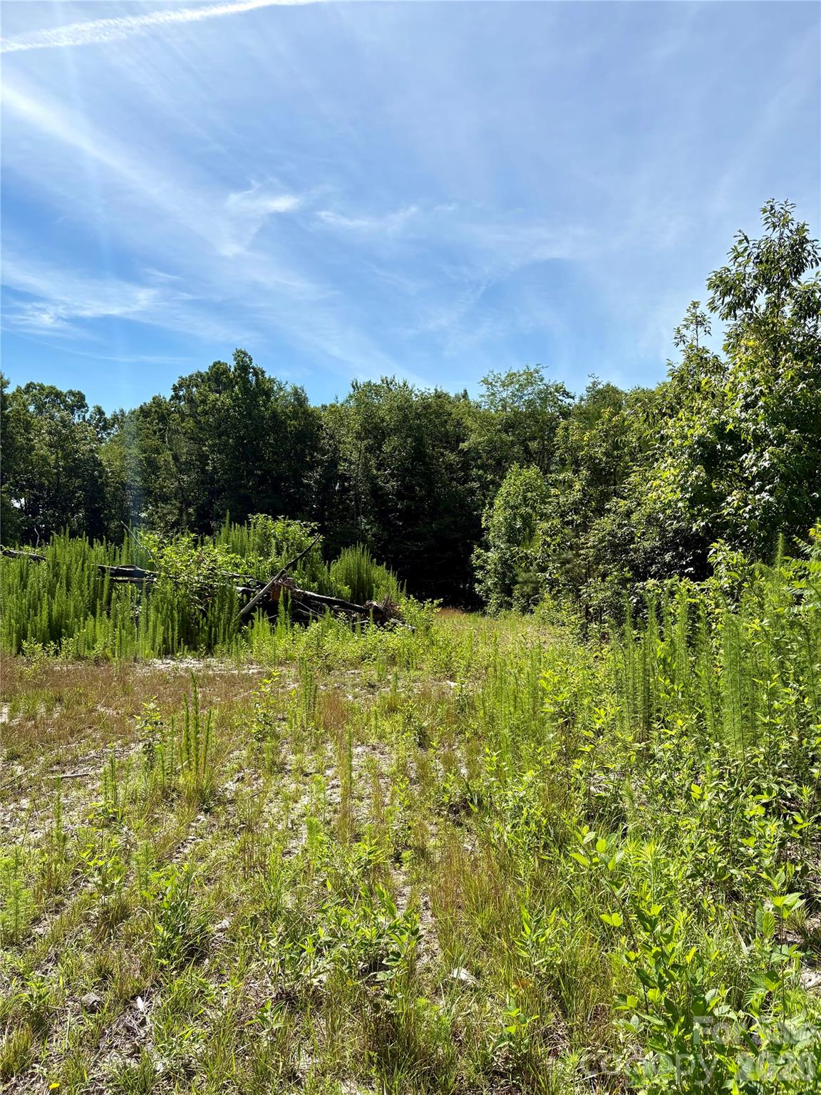 1323 Hill Road Lincolnton, NC 28092 - Photo 9 of 14