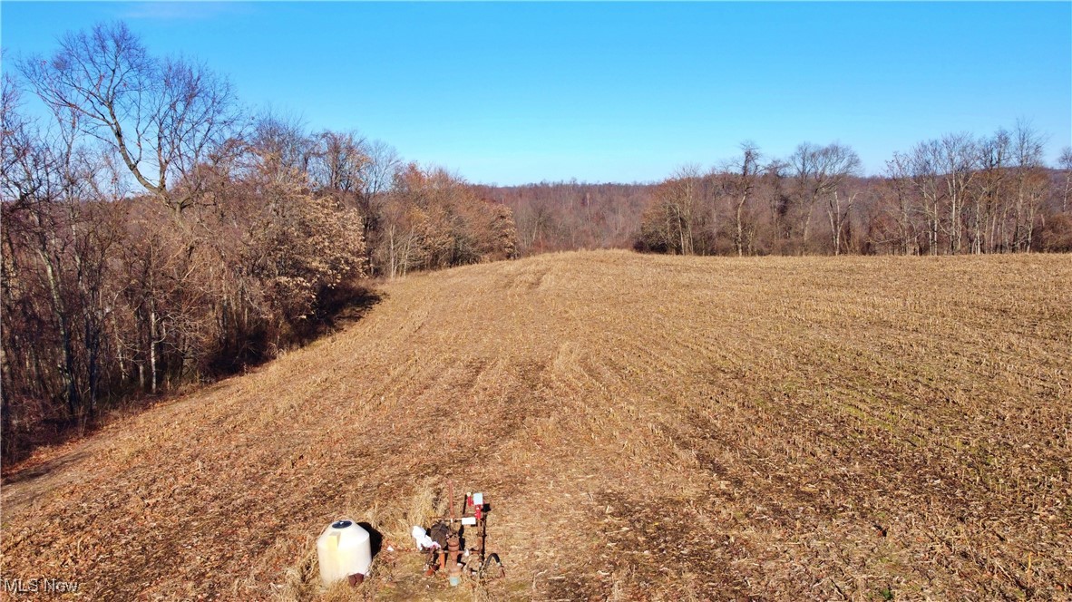 0 Hopewell Road Cambridge, OH 43725 - Photo 8 of 19 View of nature