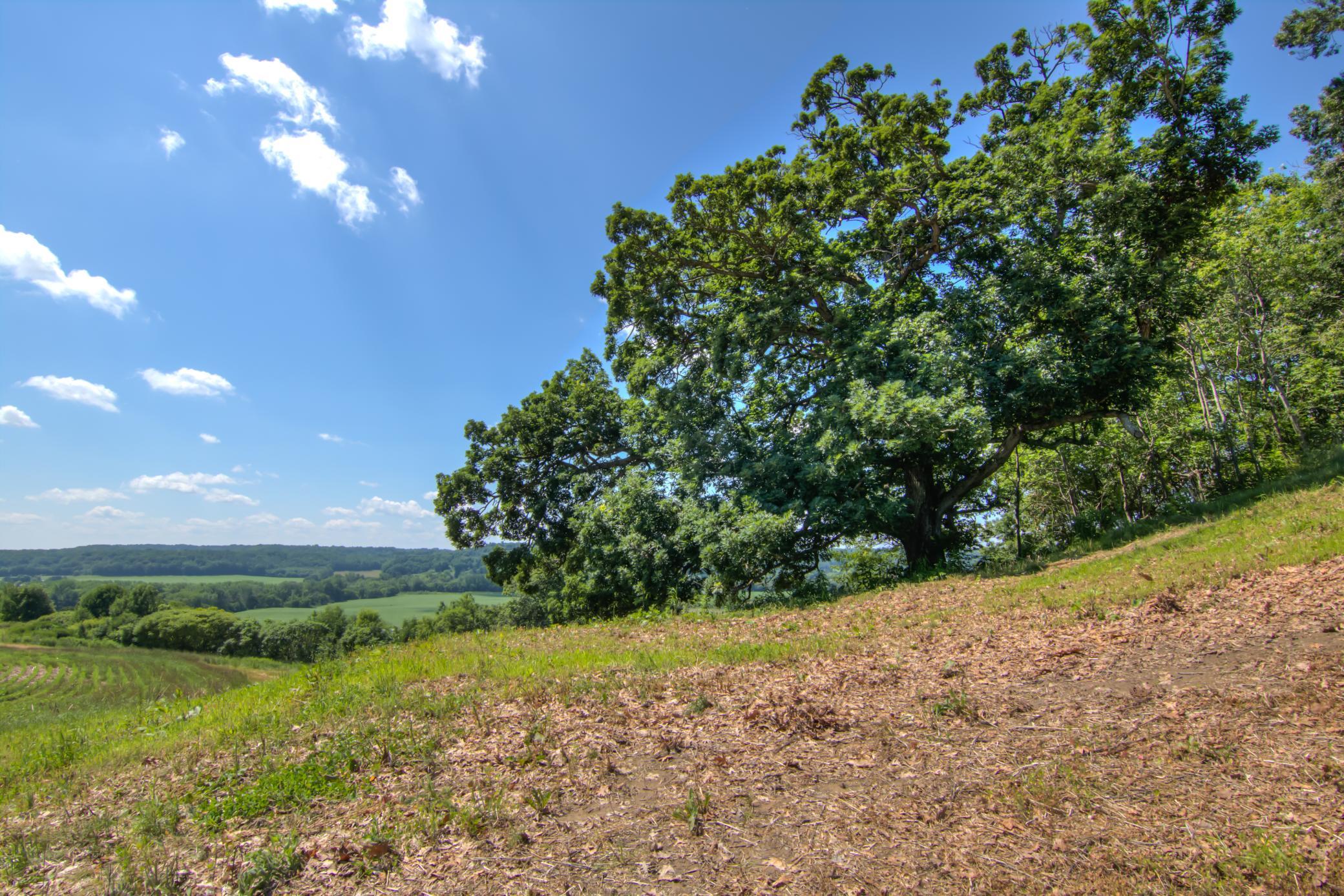 E2519 State Road Menomonie, WI 54751 - Photo 57 of 90