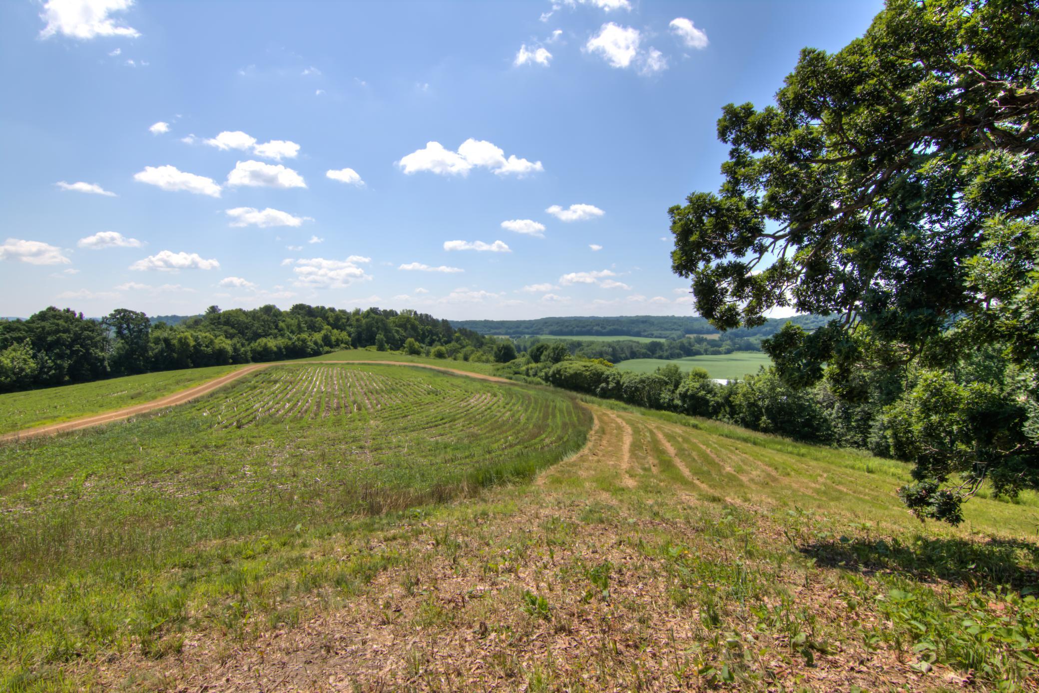 E2519 State Road Menomonie, WI 54751 - Photo 58 of 90