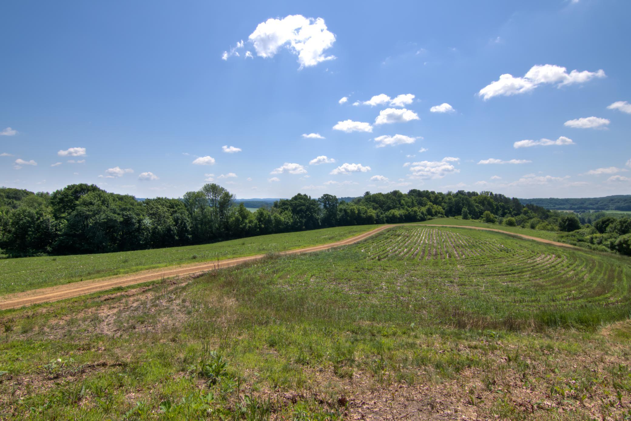 E2519 State Road Menomonie, WI 54751 - Photo 59 of 90