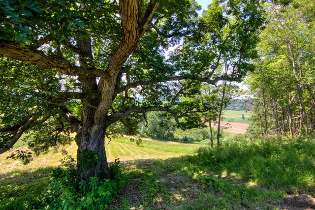 $519,000 | E2519 State Road, Menomonie, WI 54751