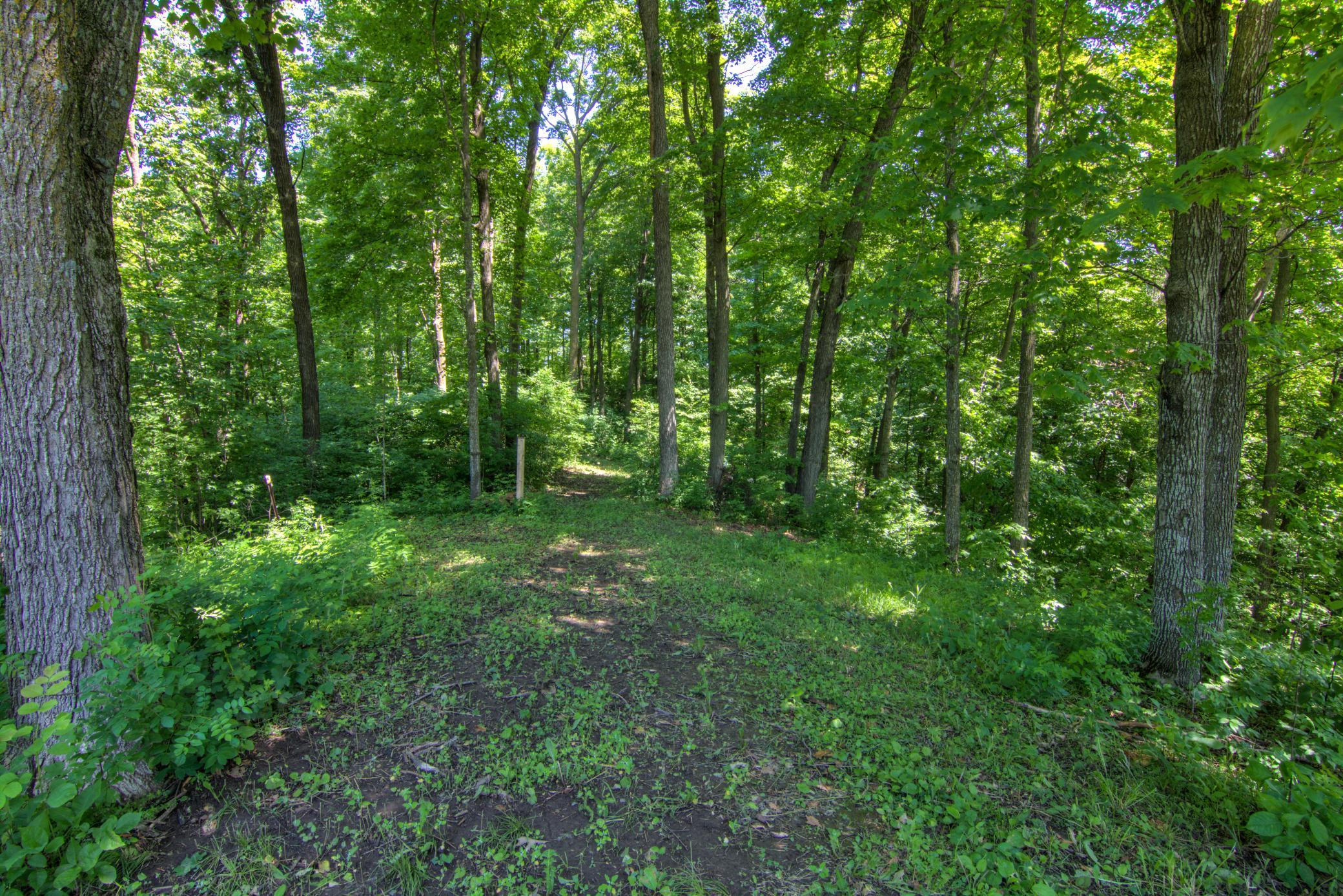 E2519 State Road Menomonie, WI 54751 - Photo 75 of 90