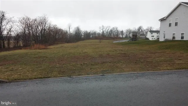 a view of a field with trees in background
