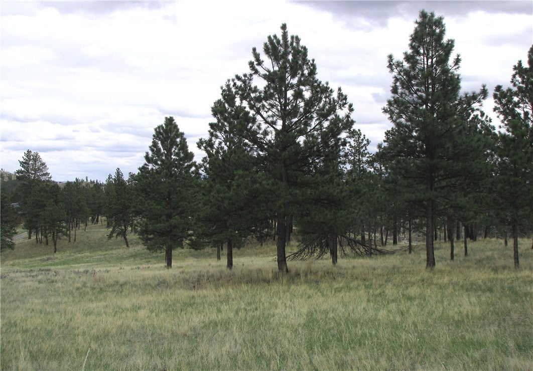 Nhn Nhn Wild Turkey Ridge Road Columbus, MT 59019 - Photo 18 of 47 Gallery Image 18