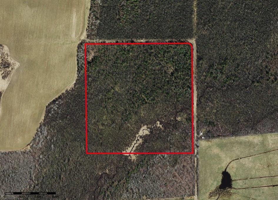 40-acres Western Road Antigo, WI 54409 - Photo 1 of 1