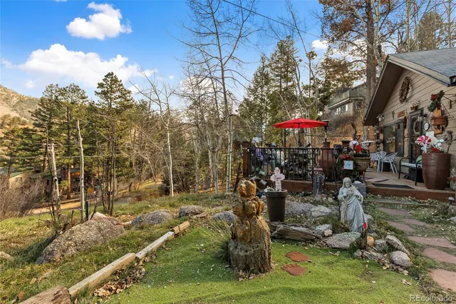 a view of a forest with a tree