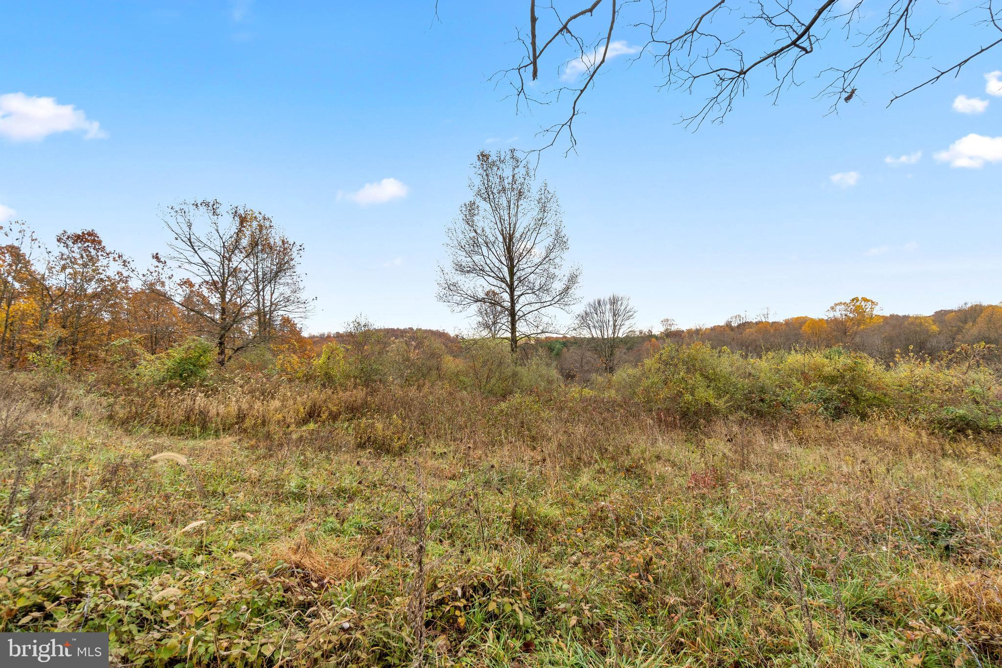 P799 South Tannery Road Westminster, MD 21157 - Photo 2 of 9 Land