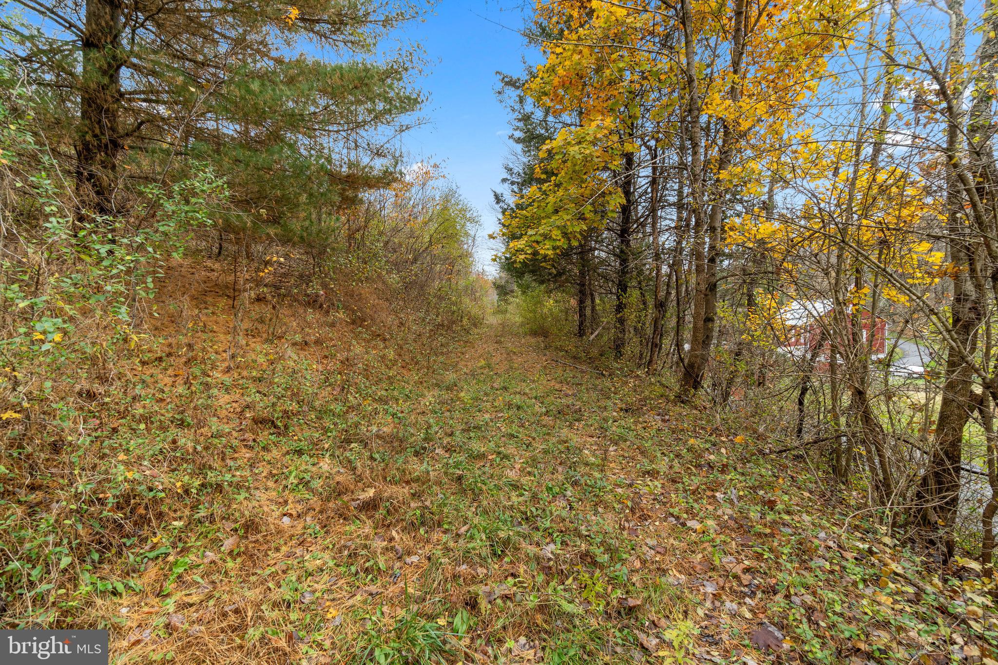 P799 South Tannery Road Westminster, MD 21157 - Photo 4 of 9 Land