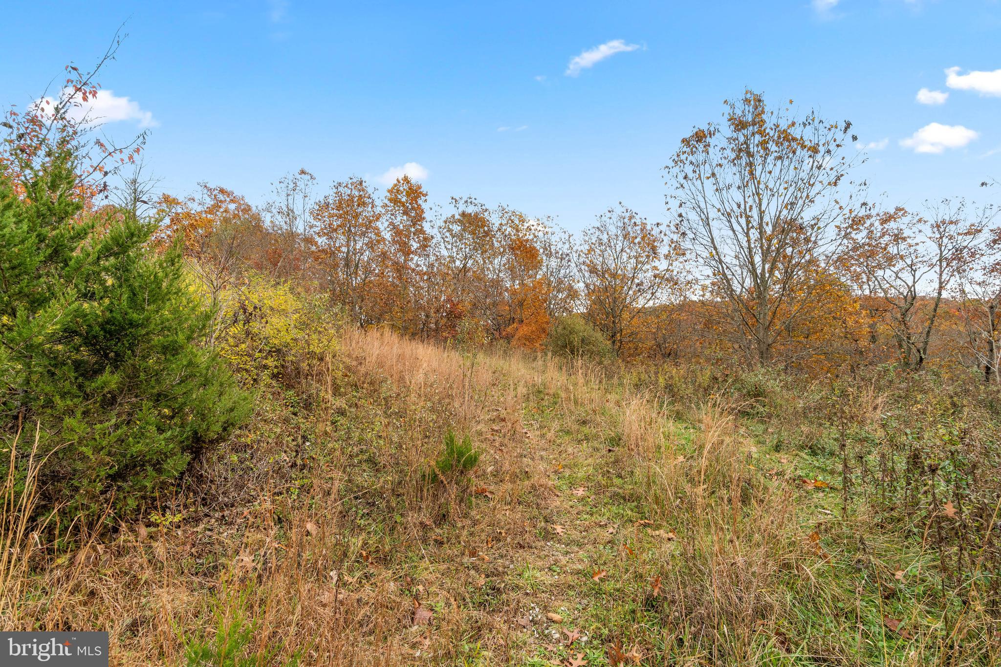 P799 South Tannery Road Westminster, MD 21157 - Photo 5 of 9 Land