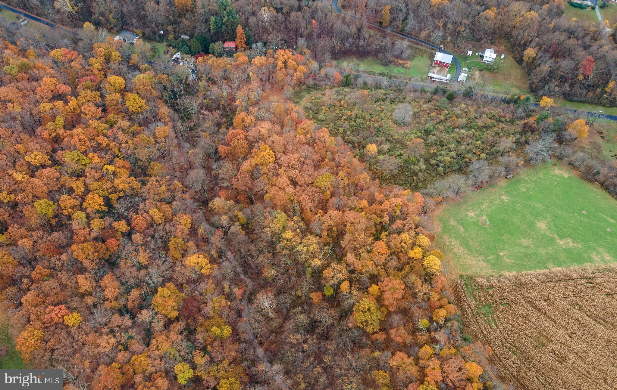 P799 South Tannery Road Westminster, MD 21157 - Photo 9 of 9 Aerial