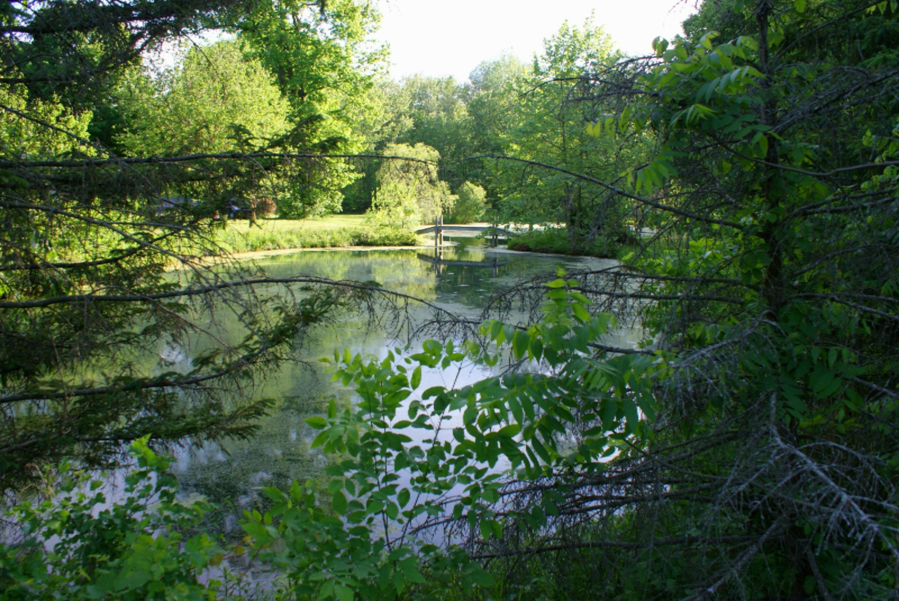 0 California Road Dowagiac, MI 49047 - Photo 12 of 25 cal14