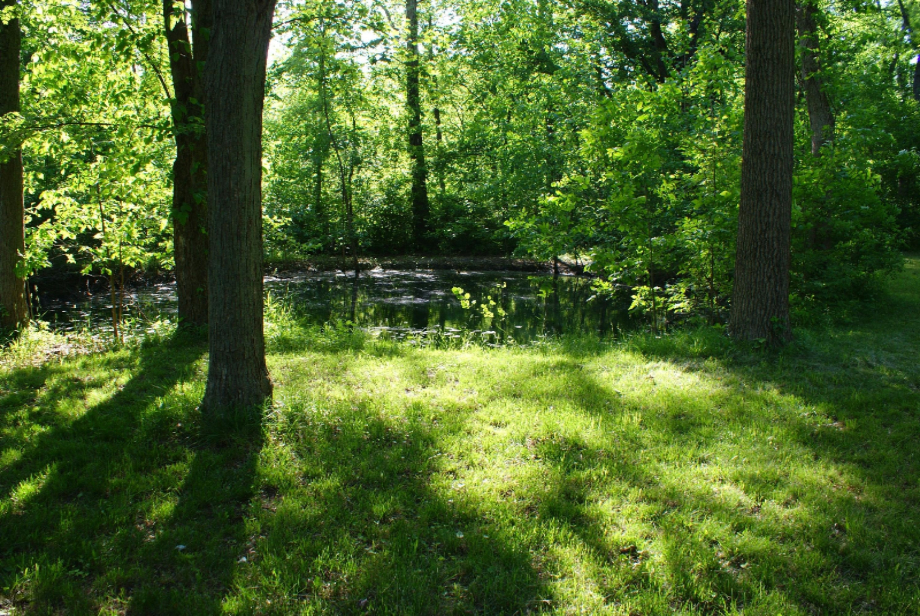 0 California Road Dowagiac, MI 49047 - Photo 15 of 25 cal17