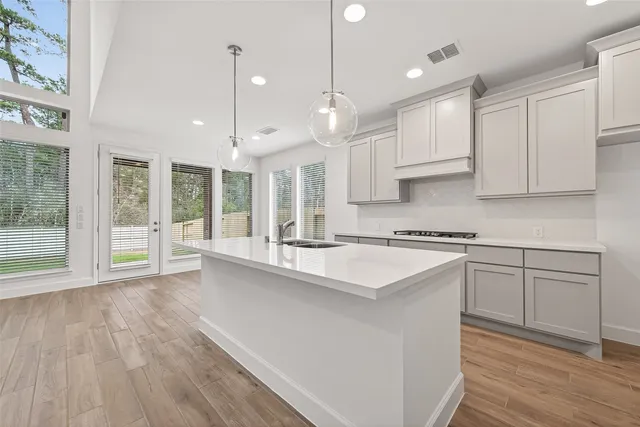 $3,100 | 447 Audubons Shearwater Way, Magnolia, TX 77354