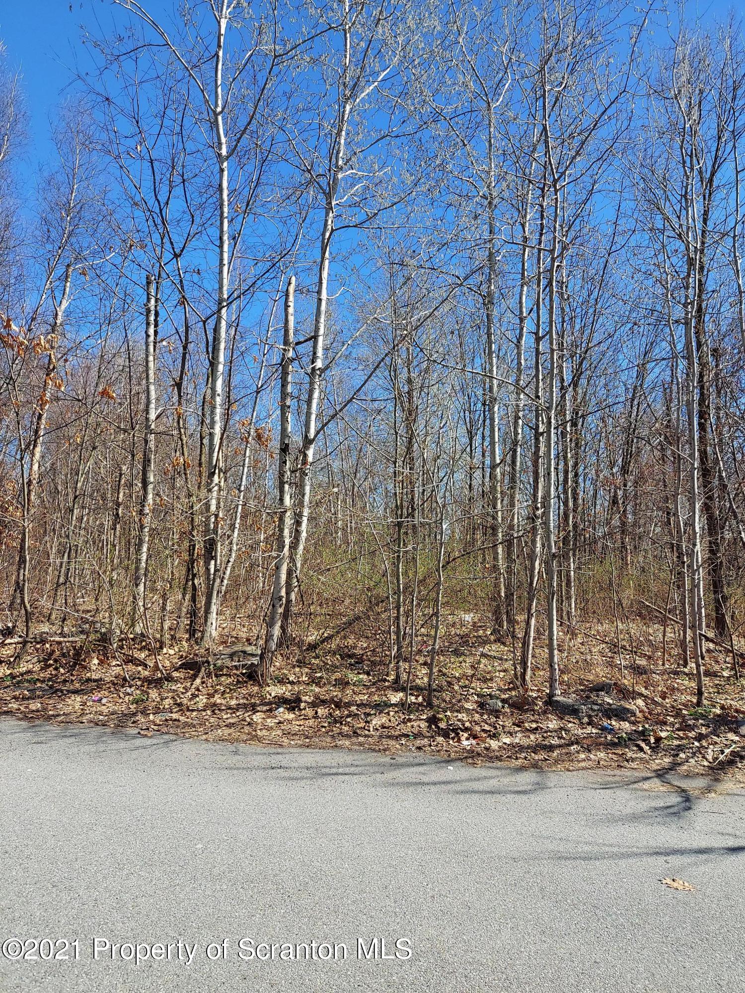 0 Monterey Road Scranton, PA 18505 - Photo 1 of 1 Monterey Pic