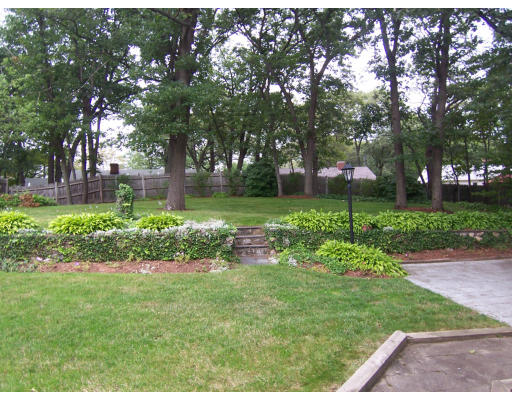 267 Ridge Street Arlington, MA 02474 - Photo 15 of 18 a view of a backyard with large trees