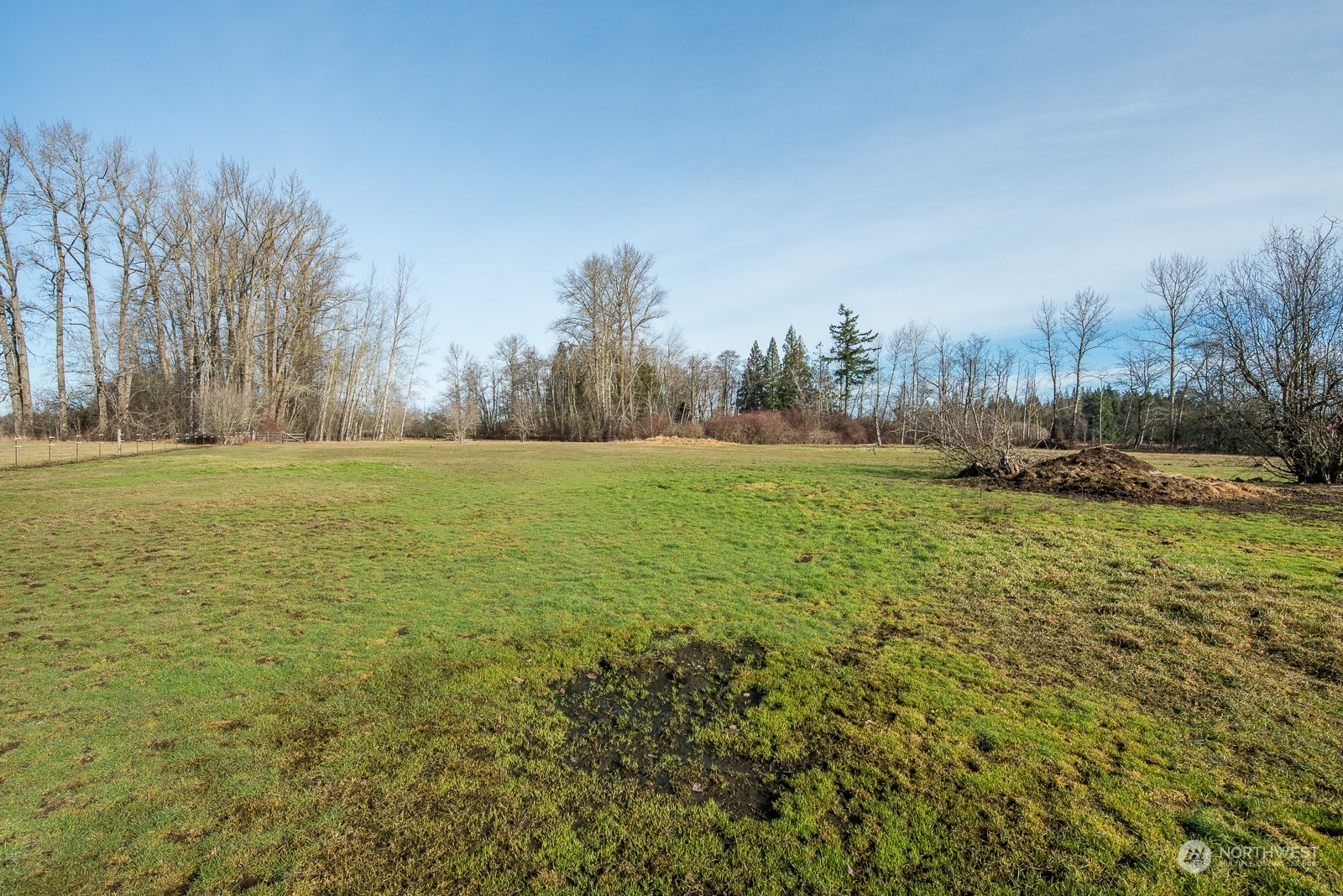 2820 Douglas Road Ferndale, WA 98248 - Photo 37 of 40 a view of outdoor space with trees all around