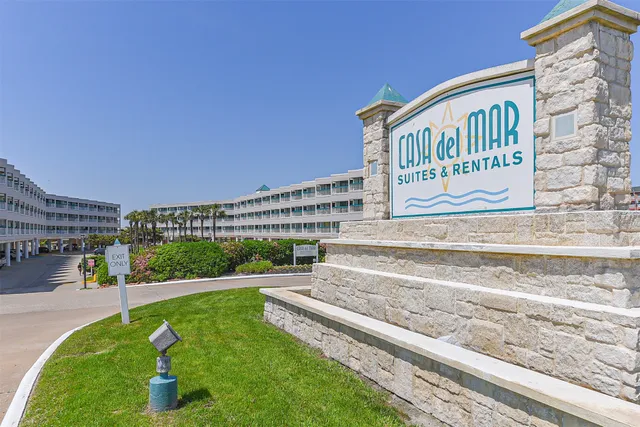 a view of a swimming pool with a garden