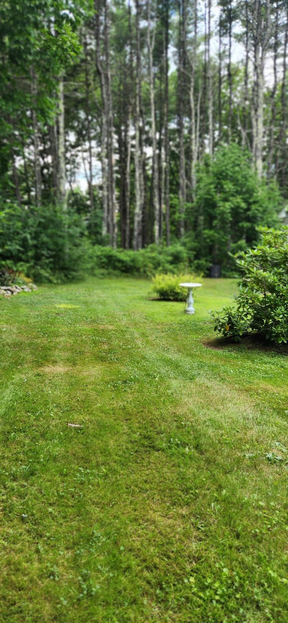 37 Summit Road Gray, ME 04039 - Photo 4 of 30 Summit back yard 2