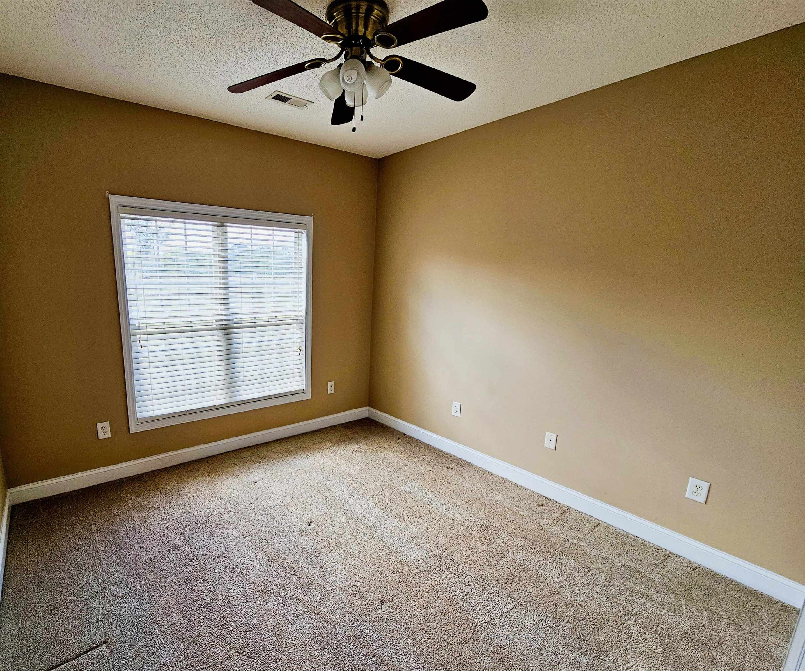 3995 Costie Allen Road Aynor, SC 29511 - Photo 23 of 35