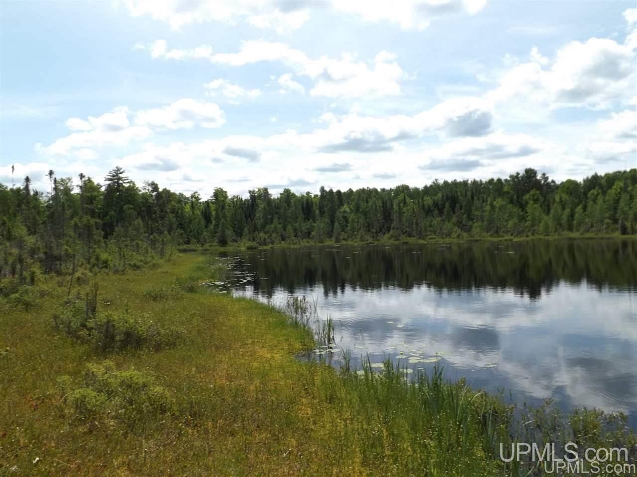 Tbd South Olson Lake Road Michigamme, MI 49861 - Photo 5 of 25