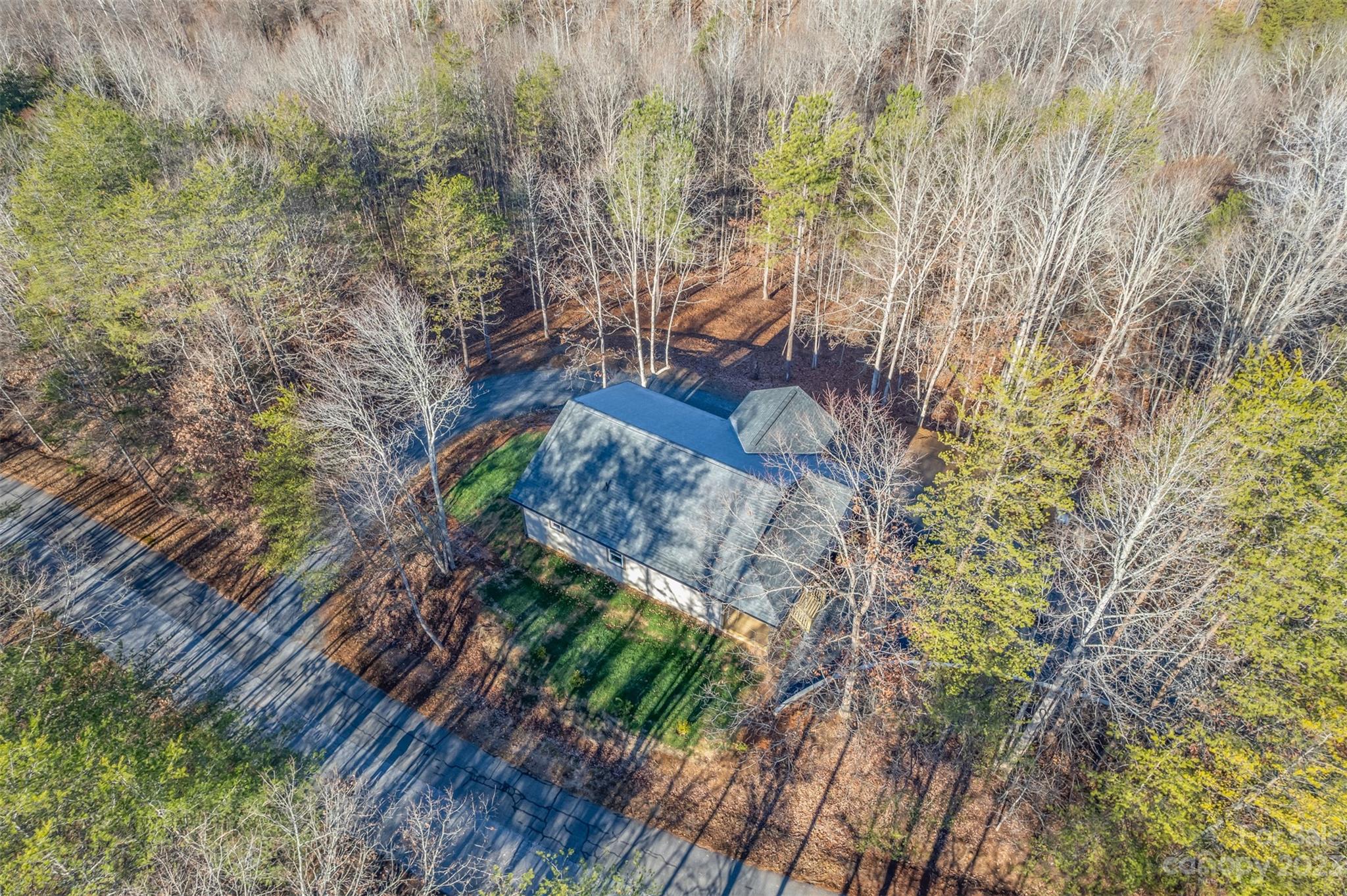 306 Observation Ridge Rutherfordton, NC 28139 - Photo 27 of 36 a yard with tall trees