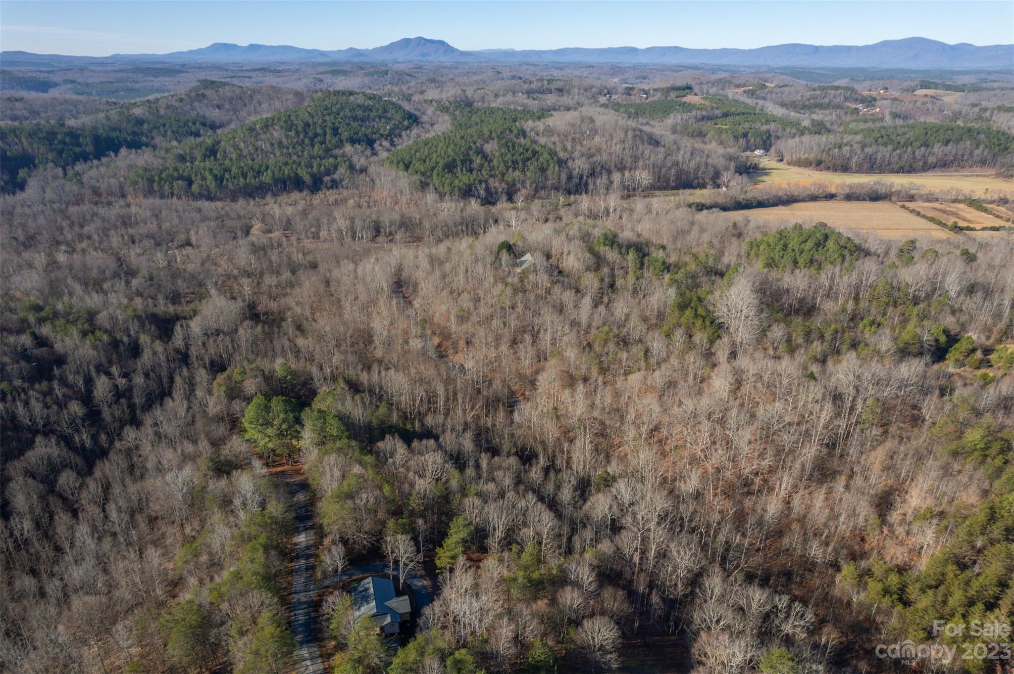 306 Observation Ridge Rutherfordton, NC 28139 - Photo 30 of 36 a view of a forest with lush green forest