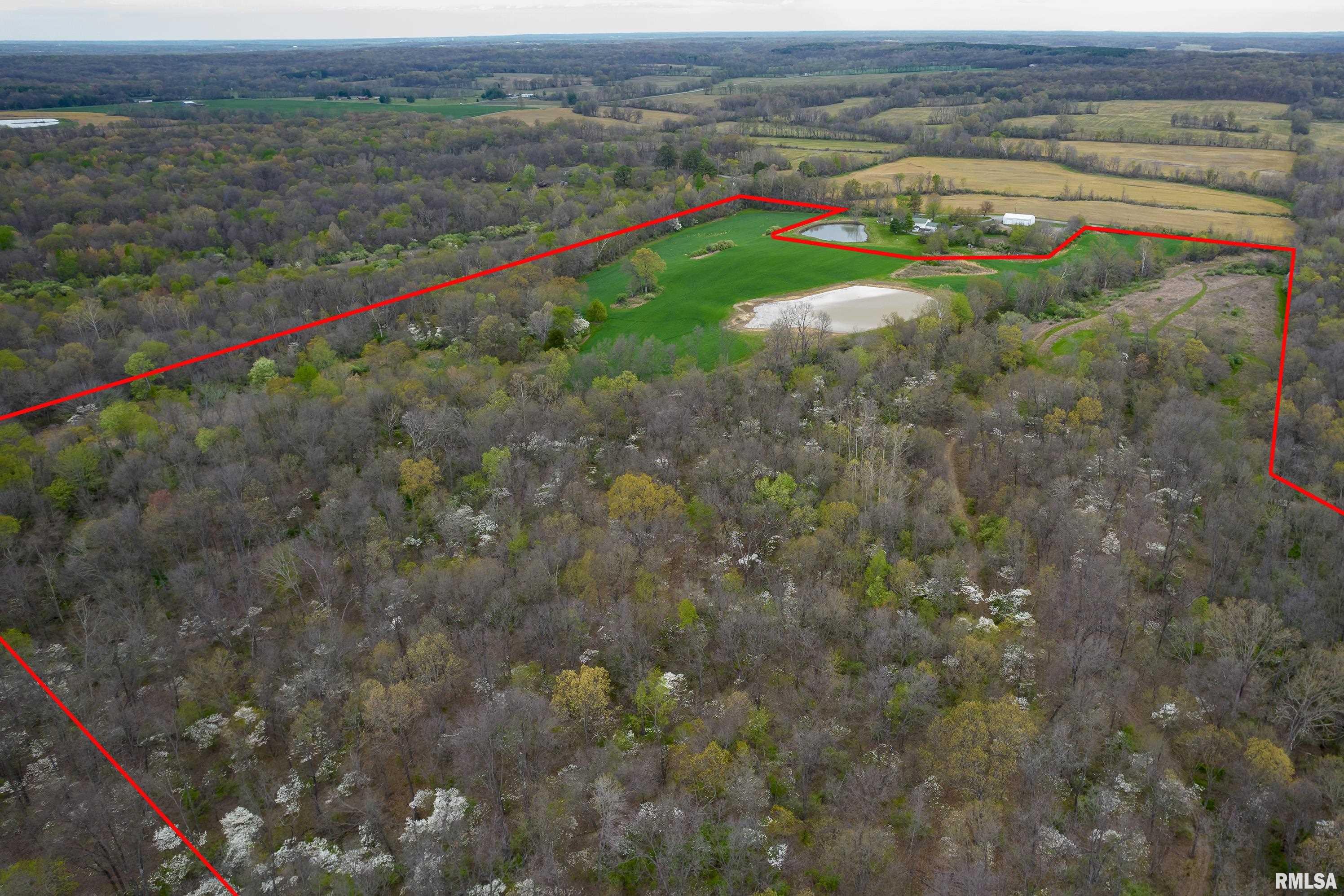 3044 Walpole Road Thompsonville, IL 62890 - Photo 8 of 26