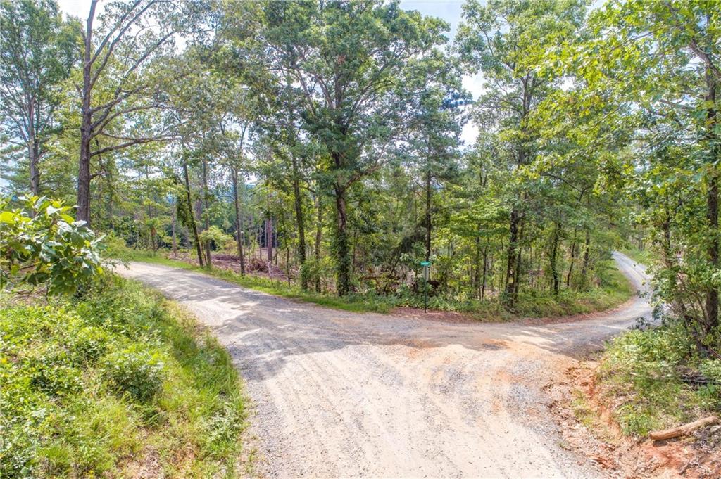 C Bryant Loop Fairmount, GA 30139 - Photo 1 of 1