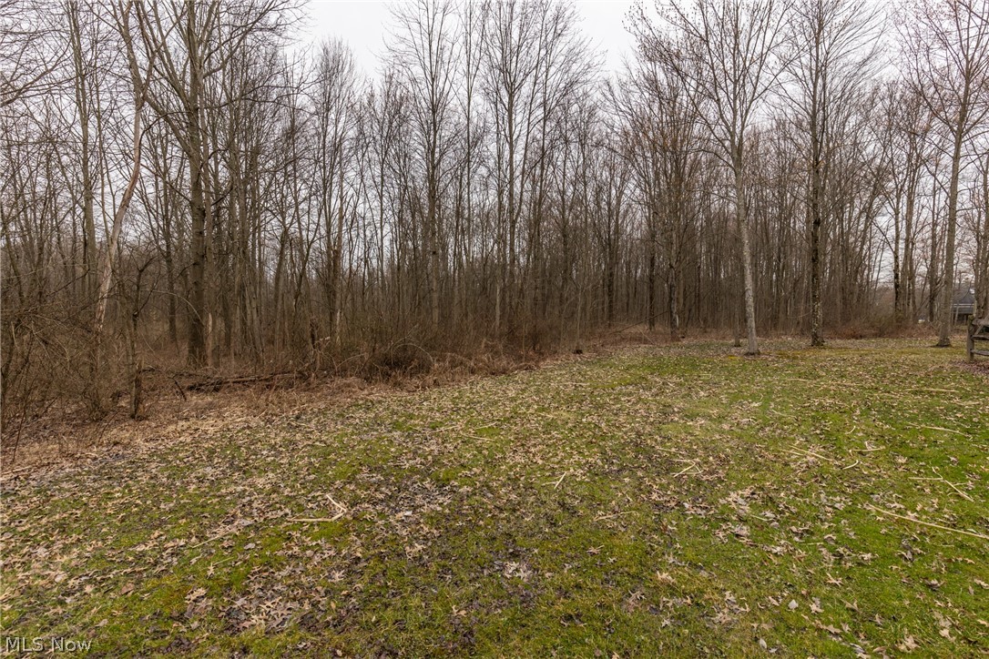 8882 Spieth Road Litchfield, OH 44253 - Photo 29 of 35 Gallery Image 29