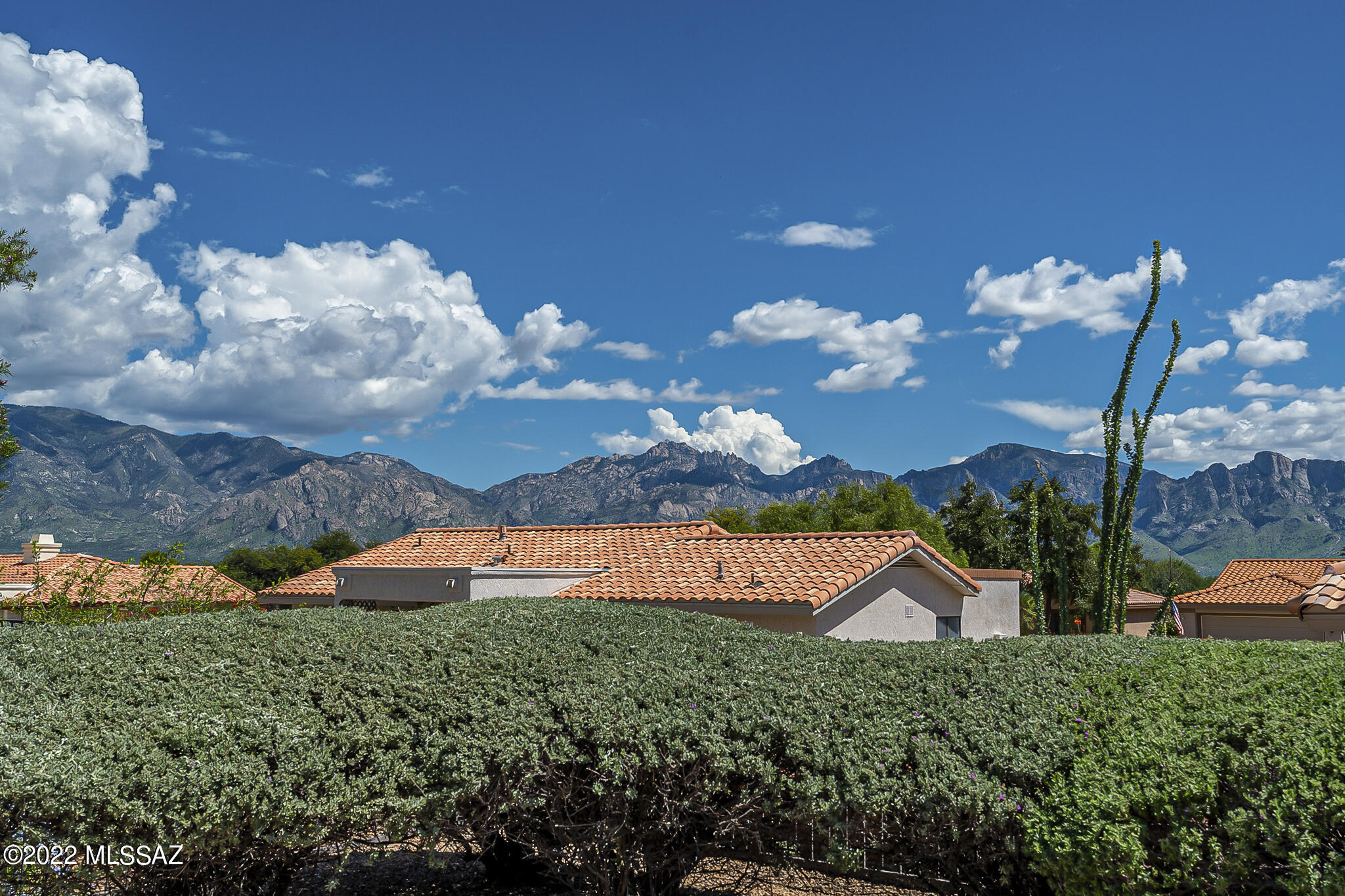1136 East Rising Sun Drive Oro Valley, AZ 85755 - Photo 47 of 50