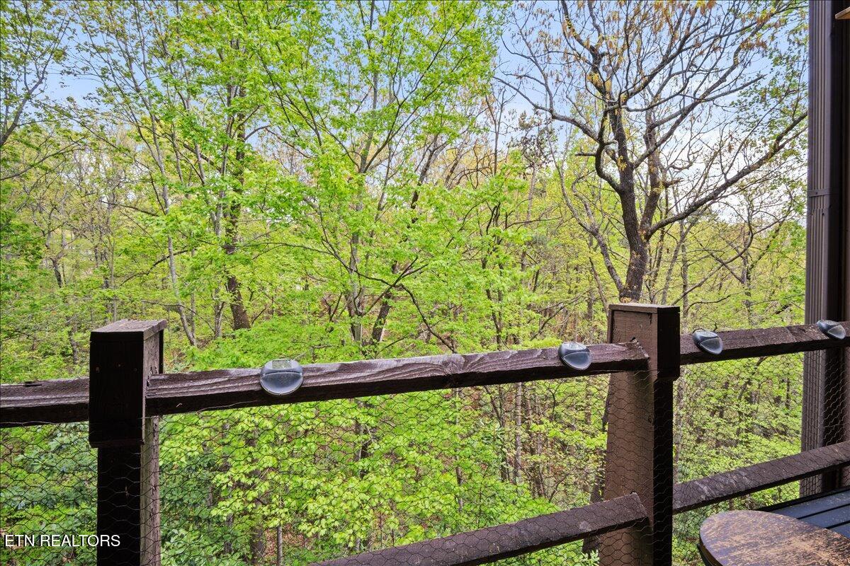 1081 Cove Road, Unit 922 Sevierville, TN 37876 - Photo 18 of 25 18-Balcony View