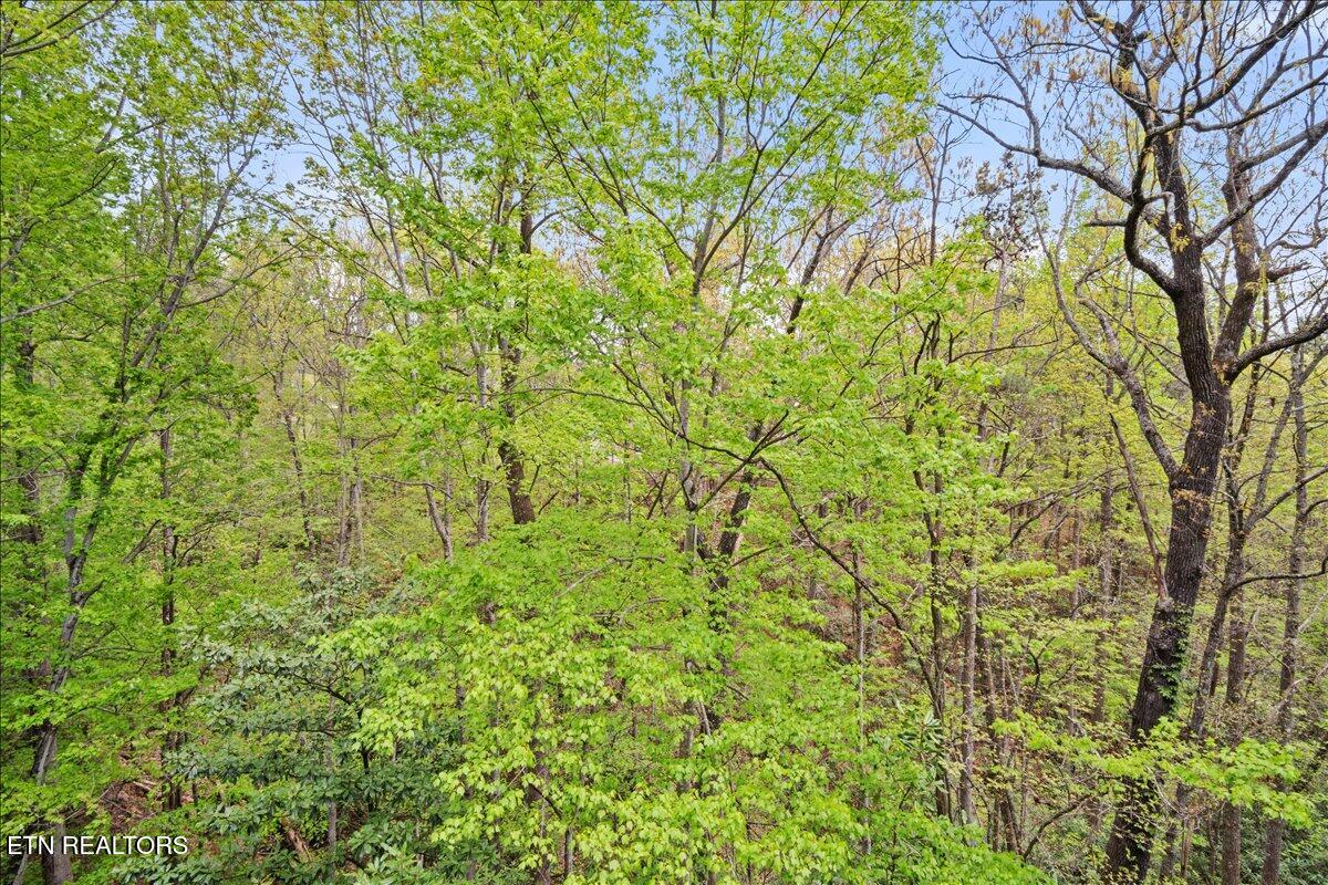 1081 Cove Road, Unit 922 Sevierville, TN 37876 - Photo 19 of 25 19-Balcony View