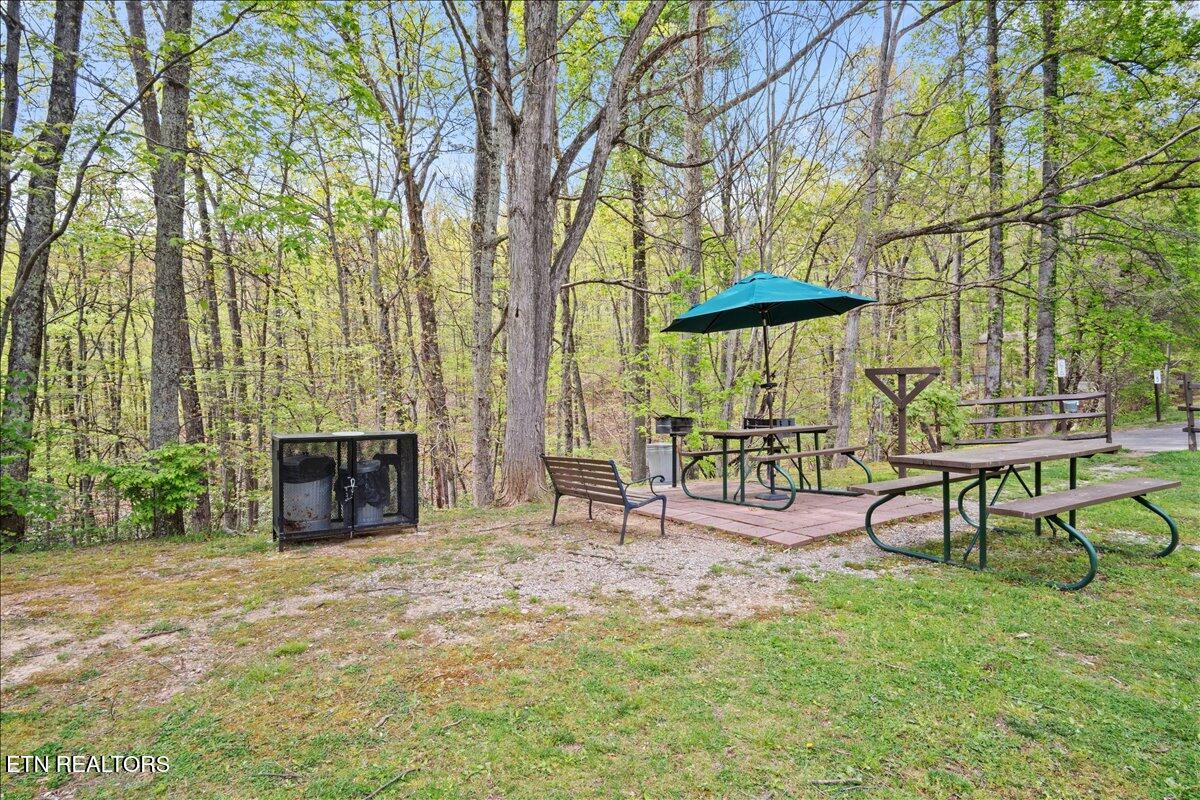1081 Cove Road, Unit 922 Sevierville, TN 37876 - Photo 24 of 25 24-Community Park