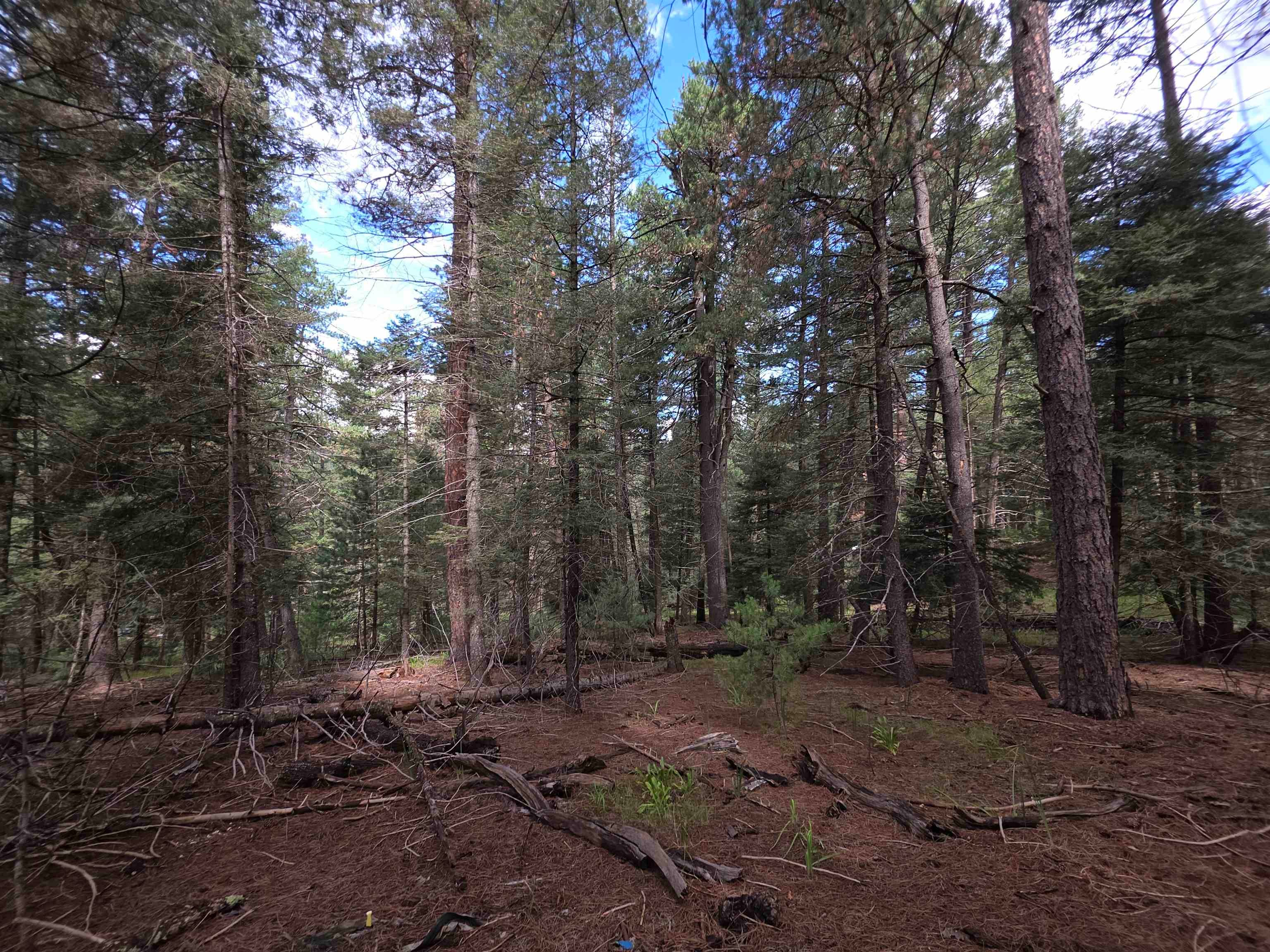 0 Retreat Road Cloudcroft, NM 88317 - Photo 12 of 18 Gallery Image 12
