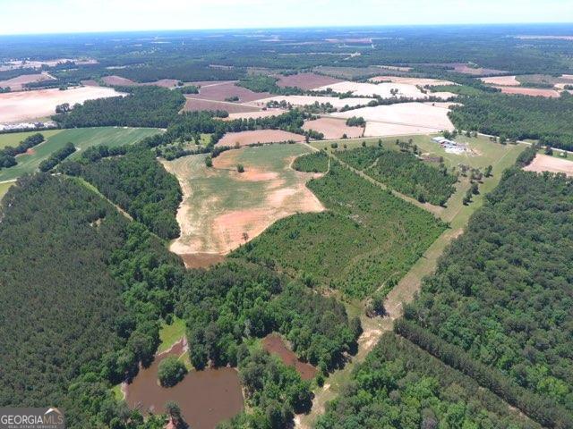 0 Ben Hadden Road Stapleton, GA 30823 - Photo 8 of 8