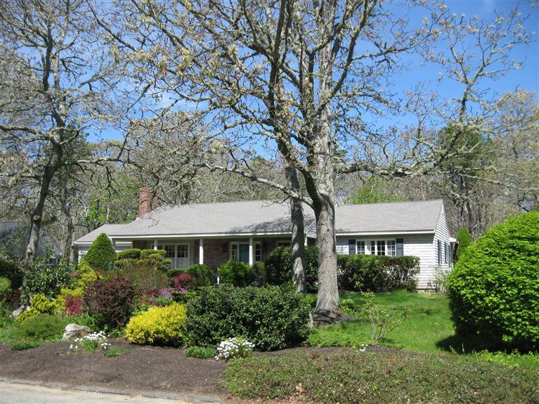 front view of a house with a garden