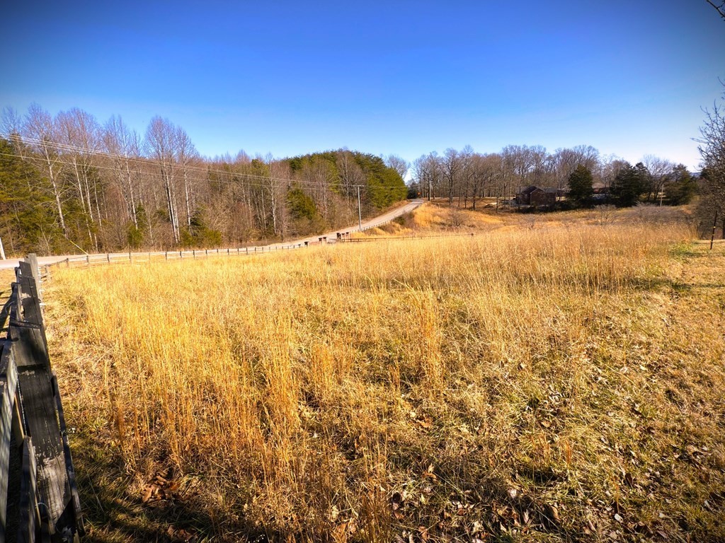 4020 Bunker Hill Road Cookeville, TN 38506 - Photo 2 of 6 a view of a yard with a lake view