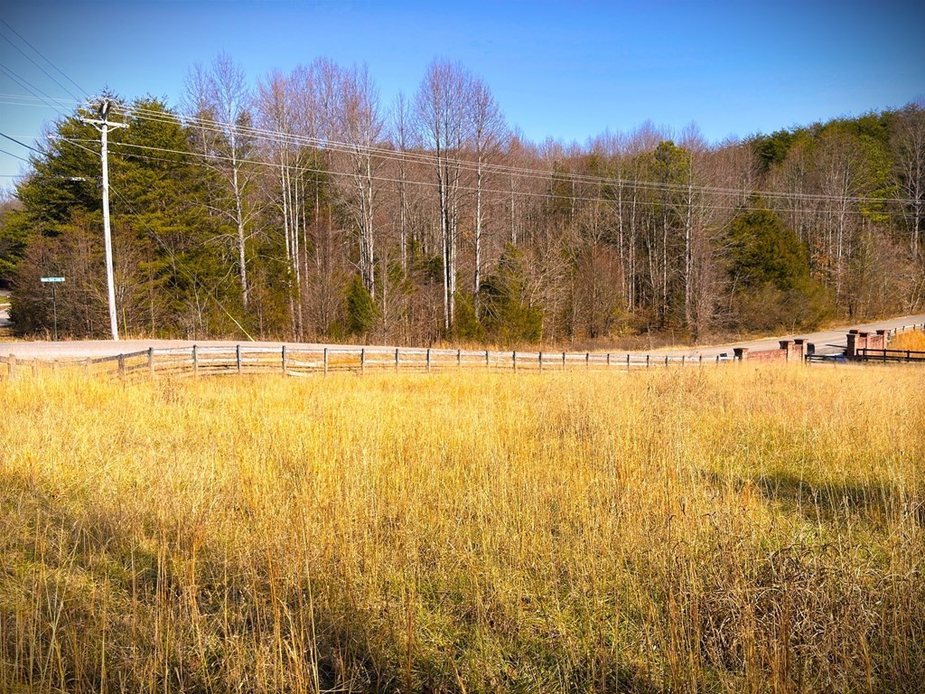 4020 Bunker Hill Road Cookeville, TN 38506 - Photo 3 of 6 a view of a swimming pool