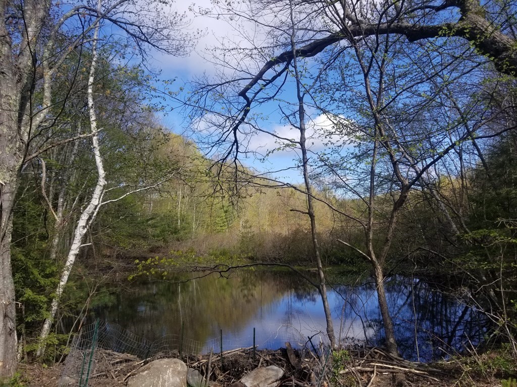 0 South Quarter Road Russell, MA 01071 - Photo 1 of 6 Gallery Image 1