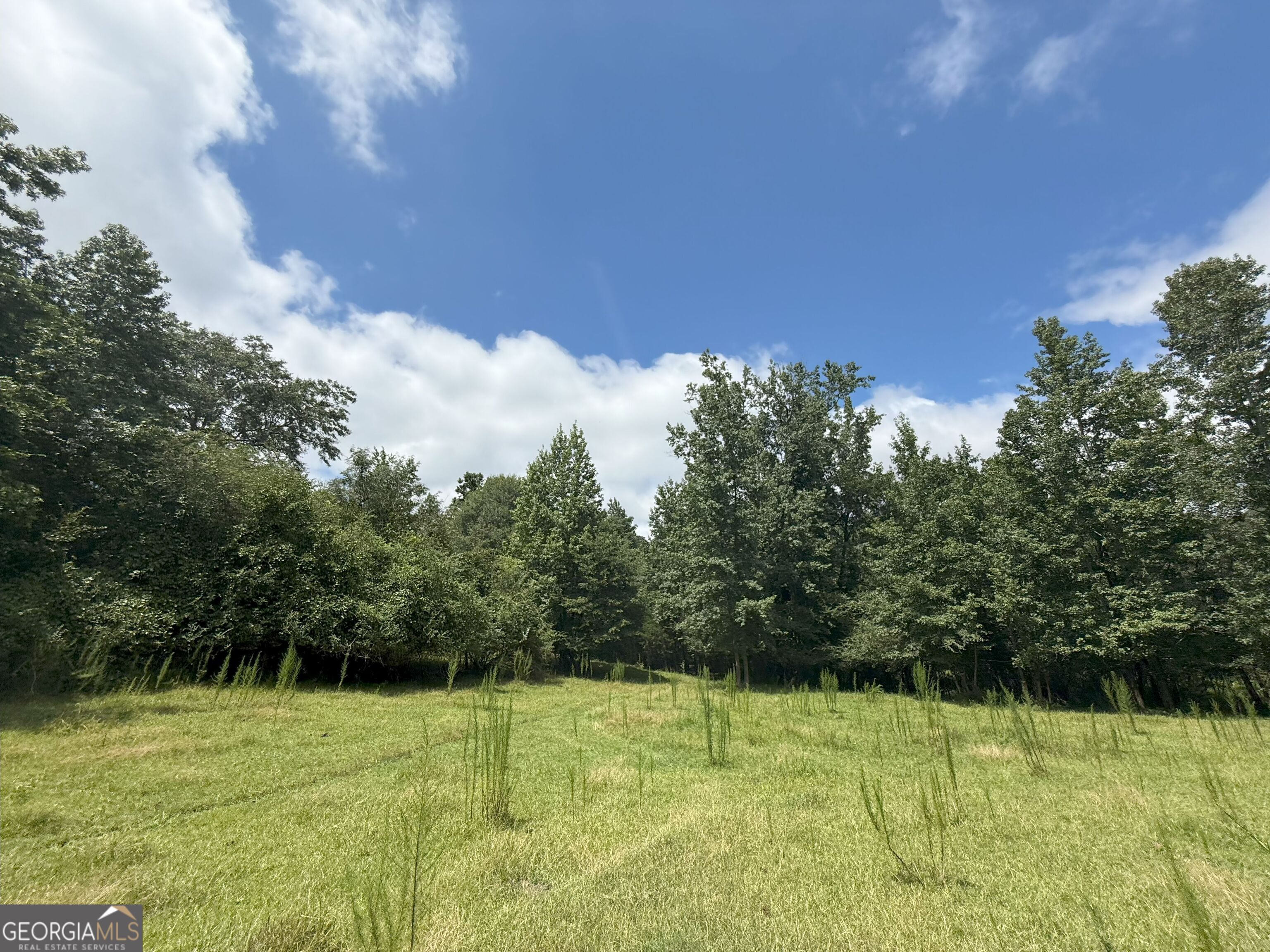 9 Red Rose Road Nicholson, GA 30565 - Photo 11 of 65