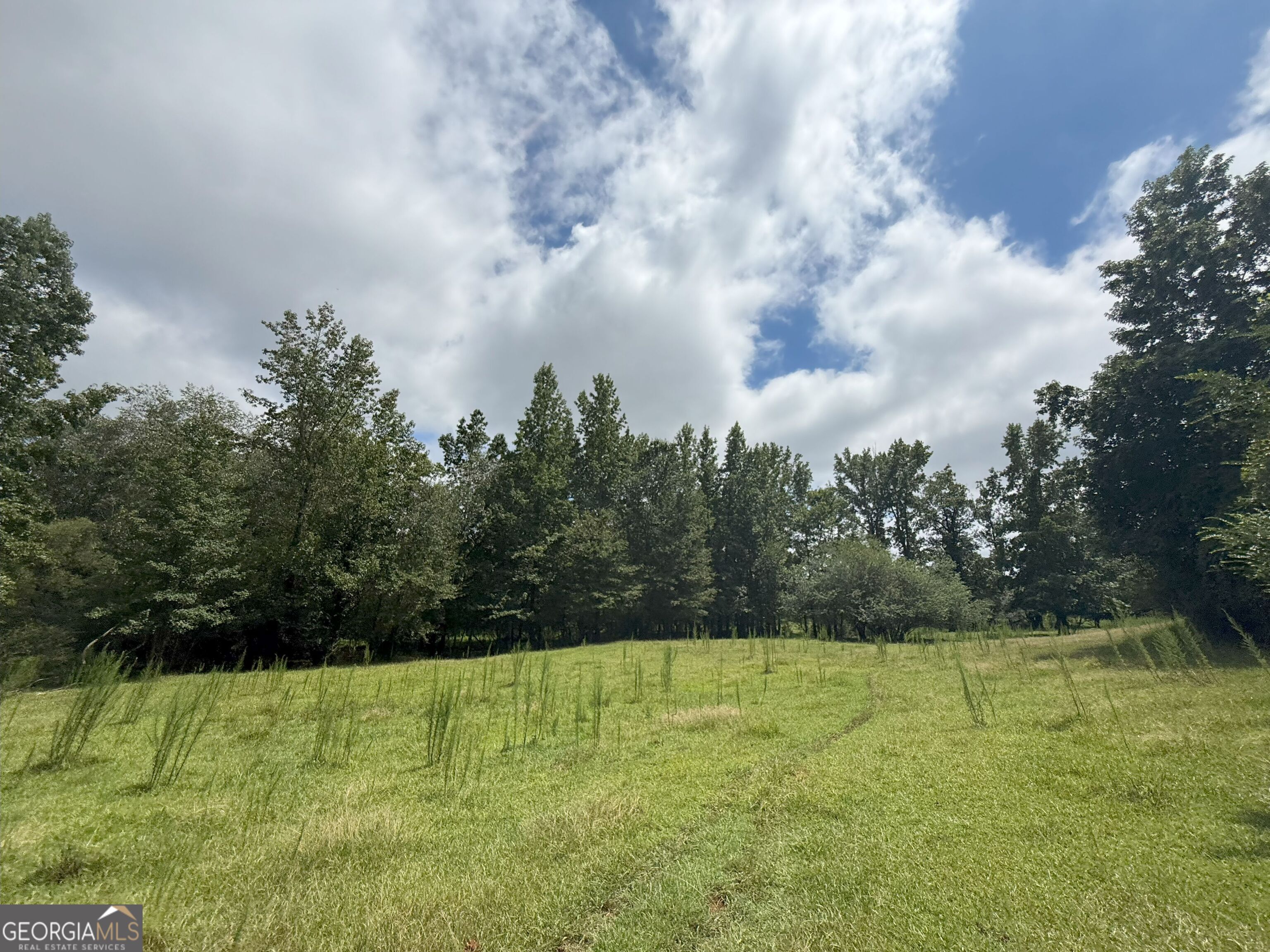 9 Red Rose Road Nicholson, GA 30565 - Photo 13 of 65 a view of a yard