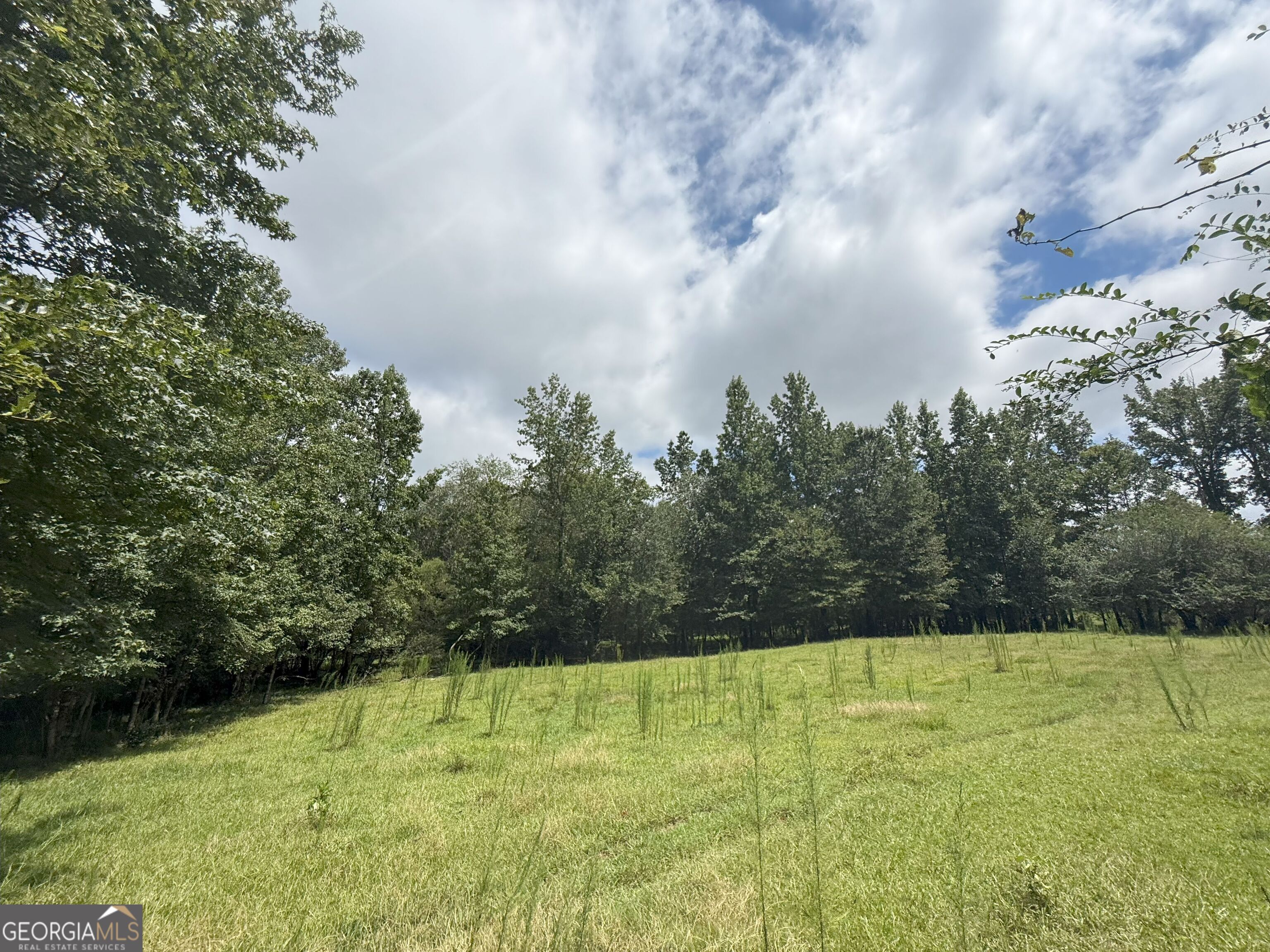 9 Red Rose Road Nicholson, GA 30565 - Photo 16 of 65 a view of swimming pool
