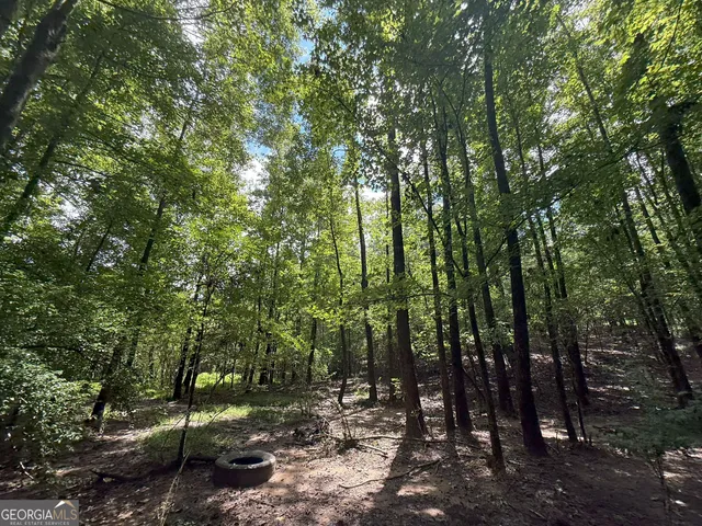 a view of backyard with green space