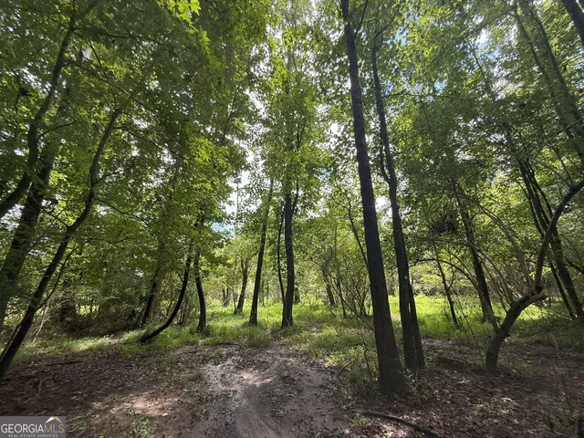 a view of outdoor space with lots of trees