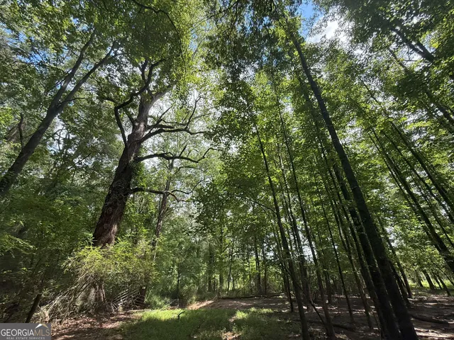 a view of backyard with green space