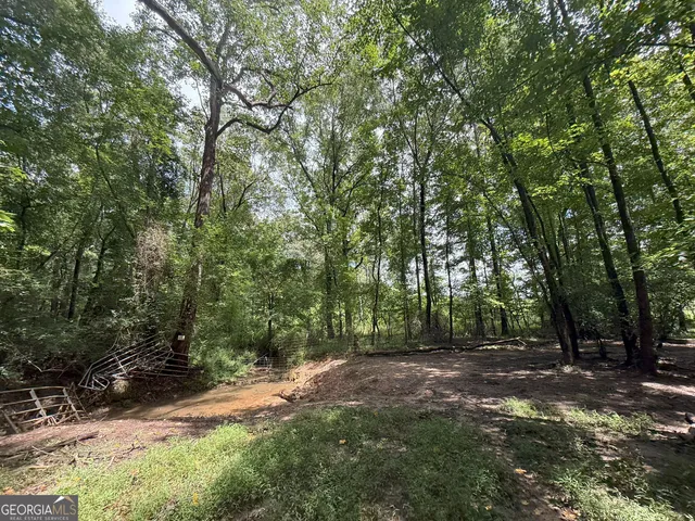 a backyard of a house with lots of trees