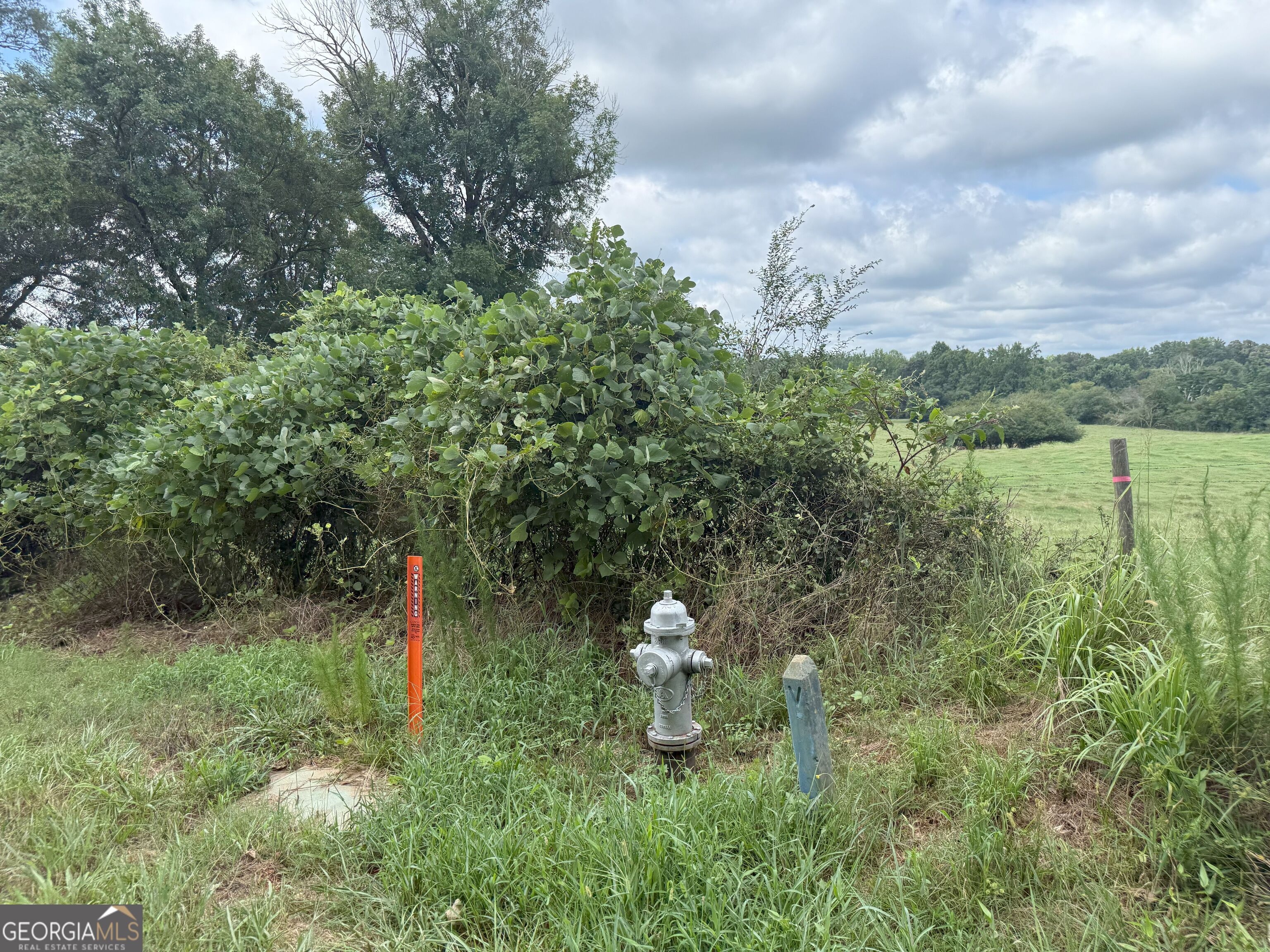 9 Red Rose Road Nicholson, GA 30565 - Photo 2 of 65 a view of a outdoor space and a yard
