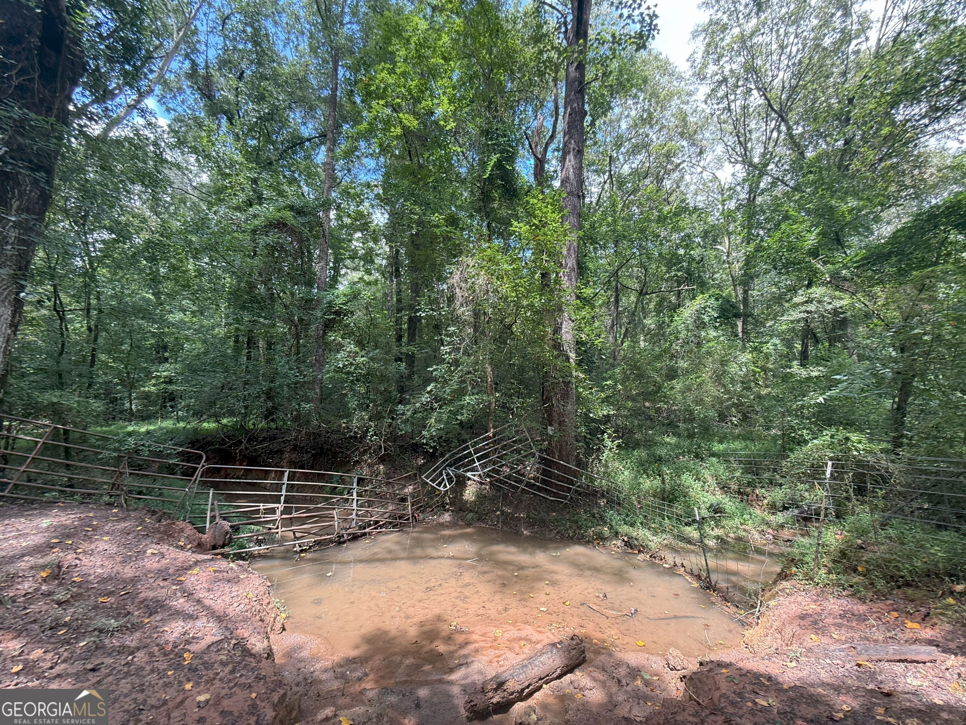 9 Red Rose Road Nicholson, GA 30565 - Photo 22 of 65 a view of backyard with green space